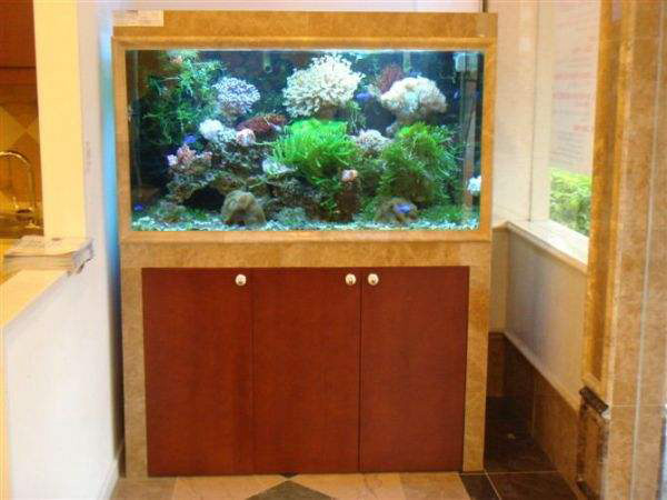 大理石包边鱼缸